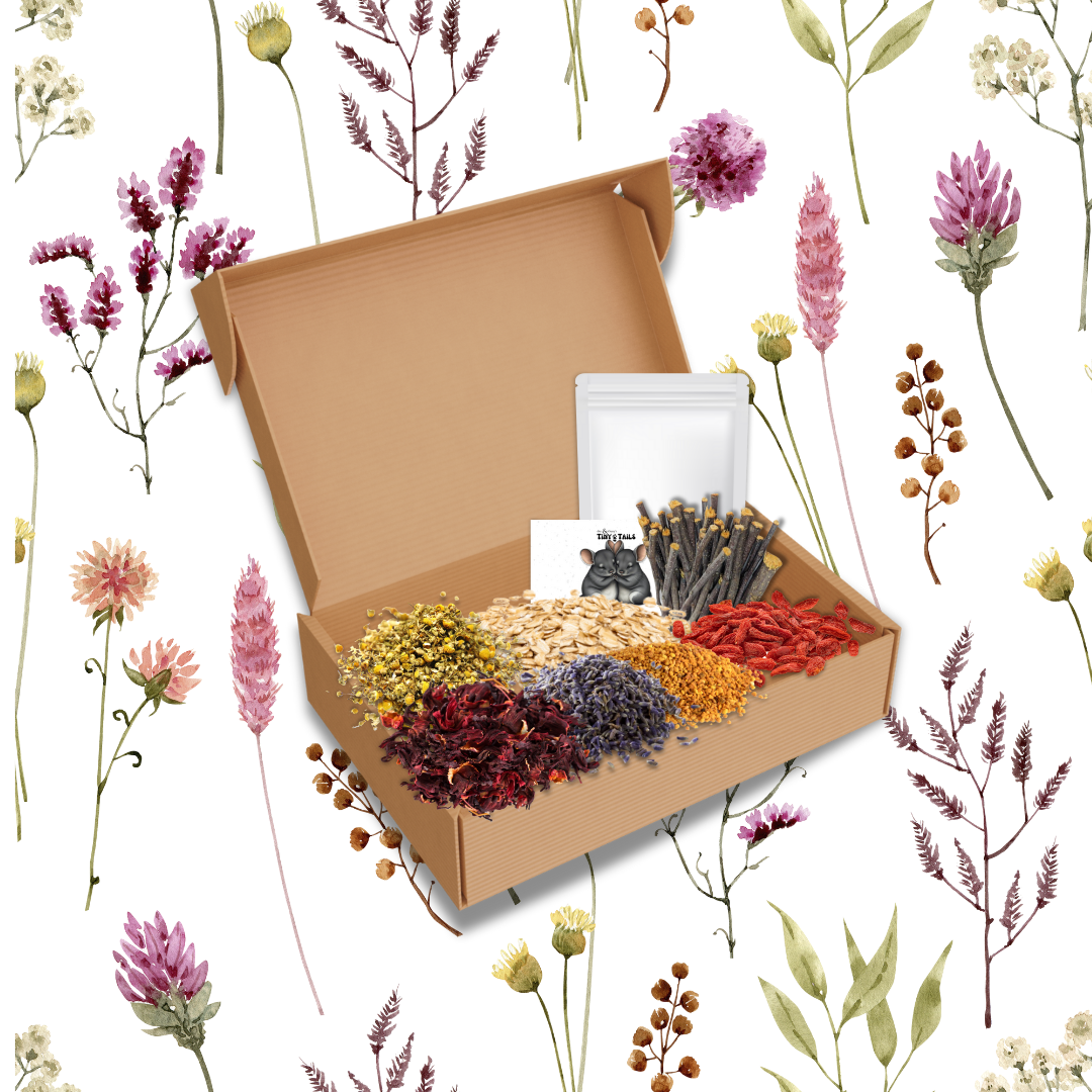 Forage & Flower Autumn Blend (Large)