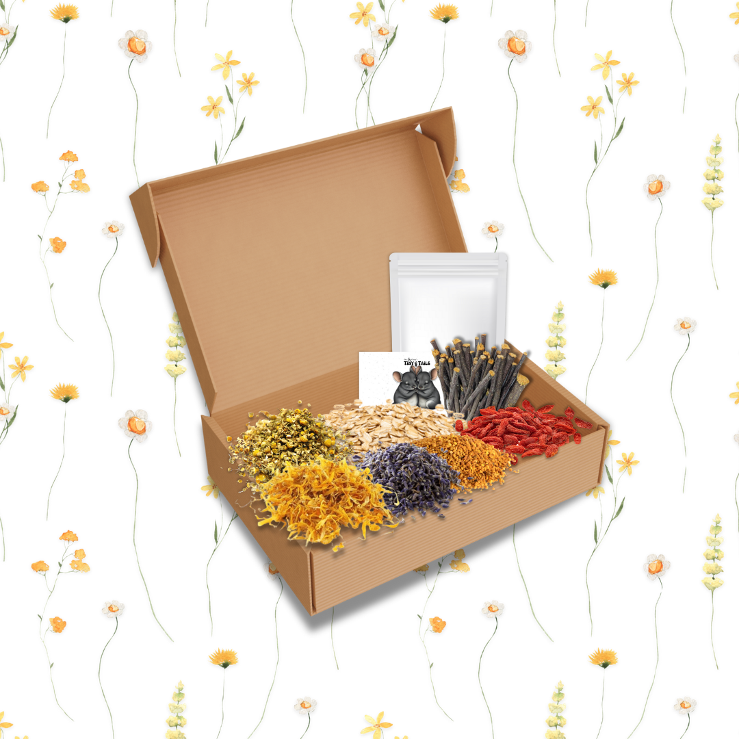 Forage & Flower Spring Blend (Large)