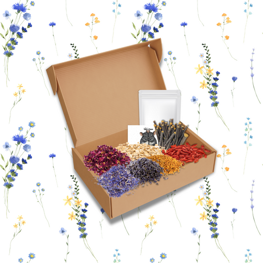 Forage & Flower Winter Blend (Large)