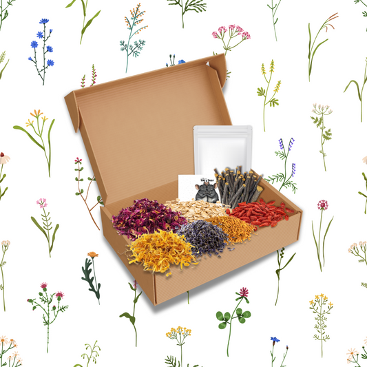 Forage & Flower Summer Blend (Large)